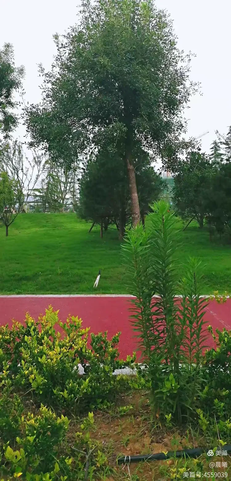 荥阳恒大养生谷